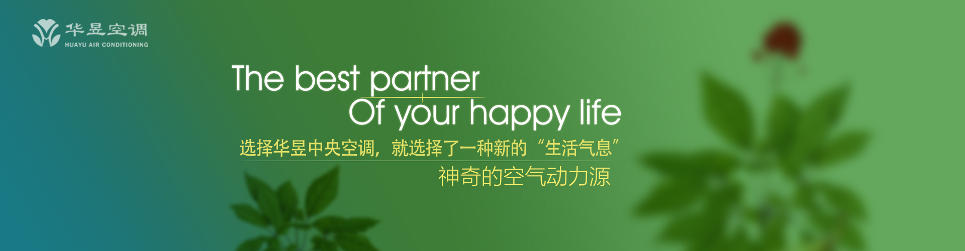 知命之年网